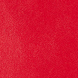 Red Bandana Print/Rl2000