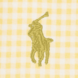 Corn Yellow