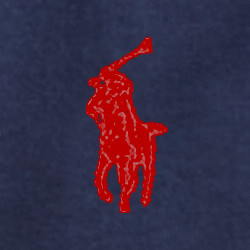 Cruise Navy