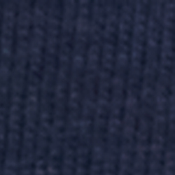 Cruise Navy