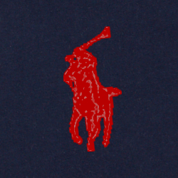 Cruise Navy