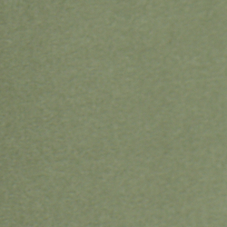 Cargo Green/Cream