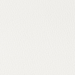 Snow White/club House Cre