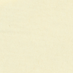 Parrot Applique Logo Jersey Tee