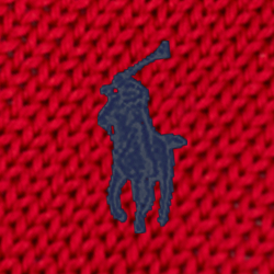 Rot
