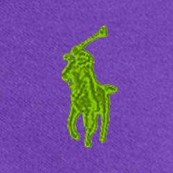Purple Cactus