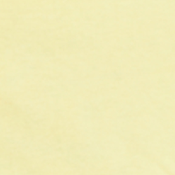 Yellow Fishing Bear