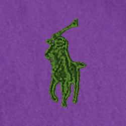 Purple Cactus