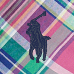 Dark Pink/Green Multi