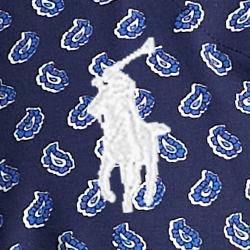 Gansett Foulard