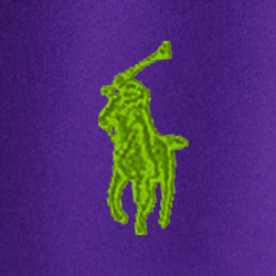 Purple Cactus