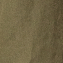 Olive Night