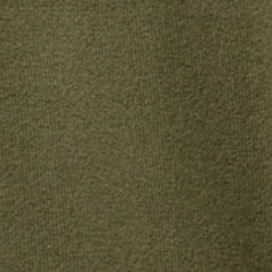 Olive Night