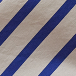 Navy And White