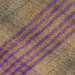 Olive Multi