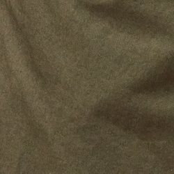 Olive Night