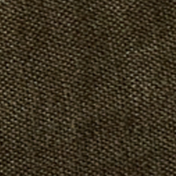 Olive Night