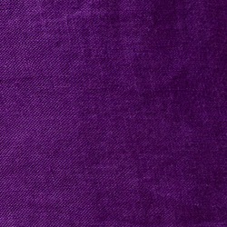 Bright Purple