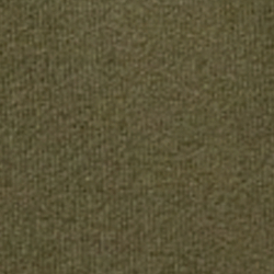 Olive Night