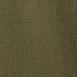Olive Night
