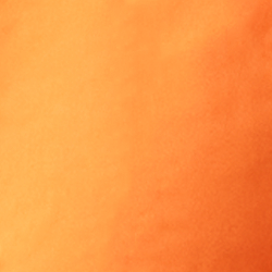 Orange Poppy