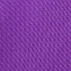 Bright Purple