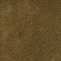 Sahara Olive