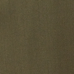 Olive Night