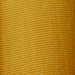 Sucker Yellow