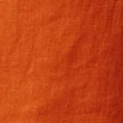 Orange Poppy