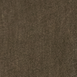 Olive Night
