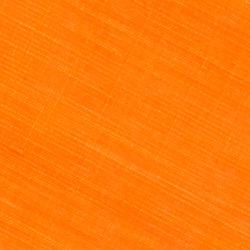 Orange Poppy