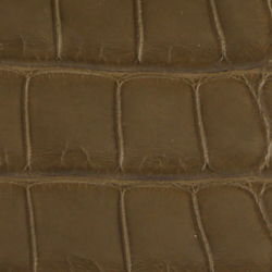 Sahara Olive