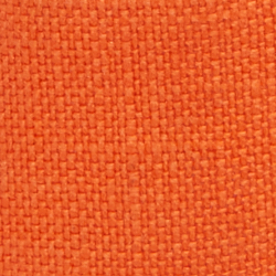 Orange Poppy