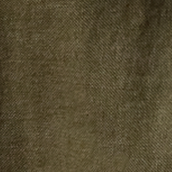 Olive Night