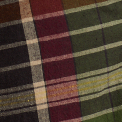 Olive Multi