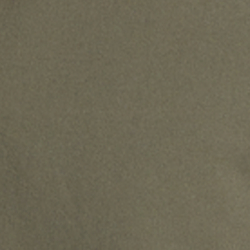 Fossil Green