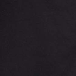 Polo Black
