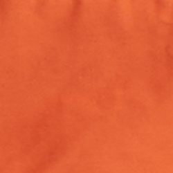 College Orange