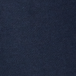 Cruise Navy