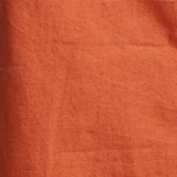 Fall Orange