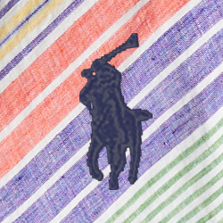 Multi