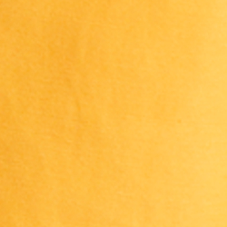 Slicker Yellow