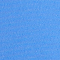 Florida Blue/Royal Blue