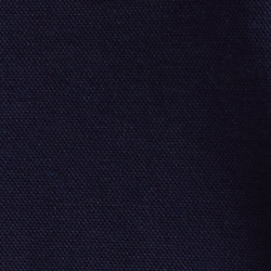 Cruise Navy