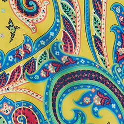 Yellow Jerry Paisley