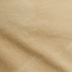 Coastal Beige