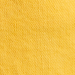 Yellow Fin