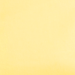 Bristol Yellow