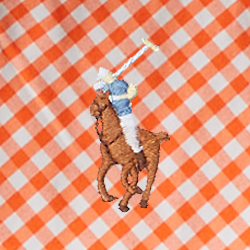 Sailing Orange Gingham